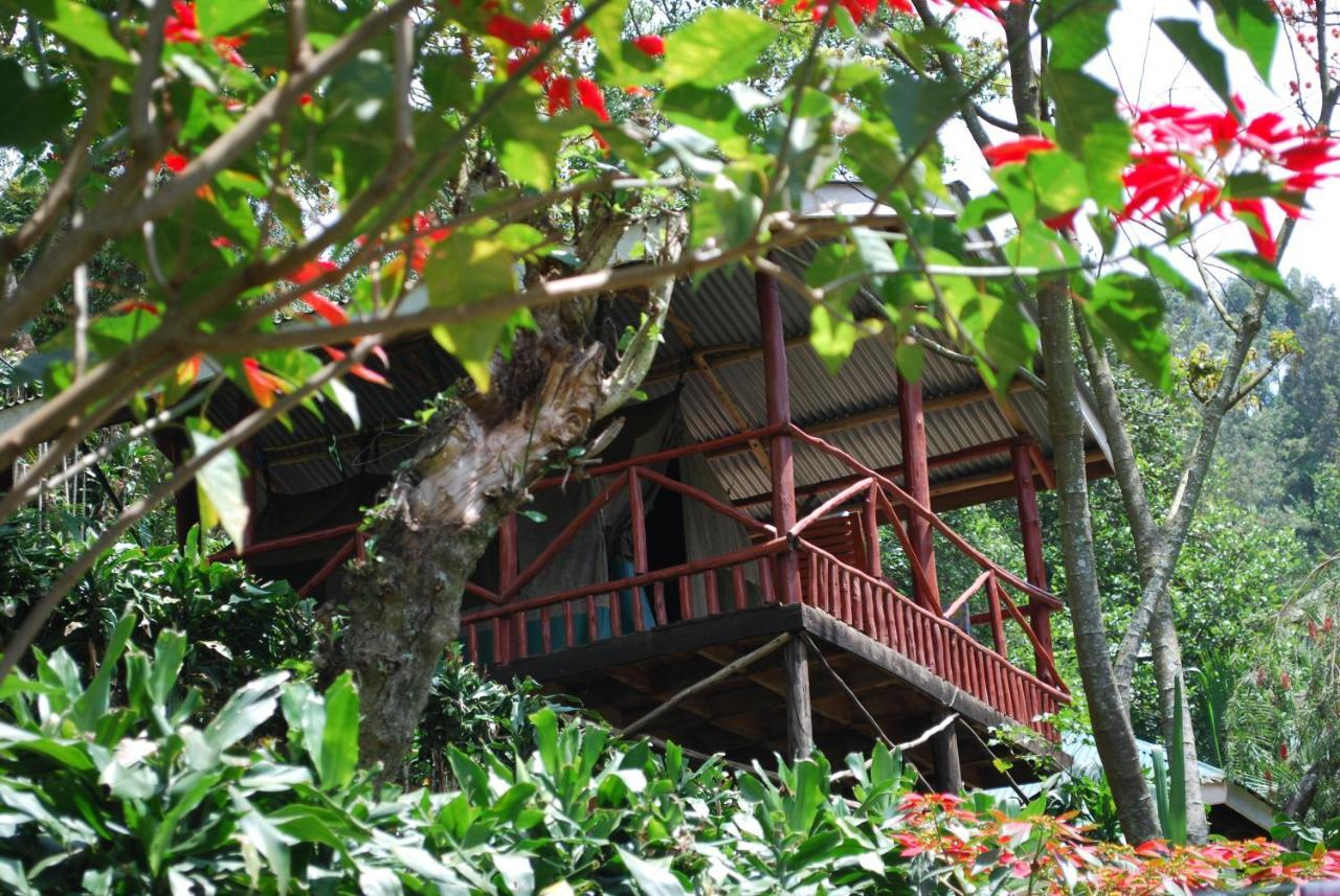 Crater Bay Cottages Kabale Экстерьер фото