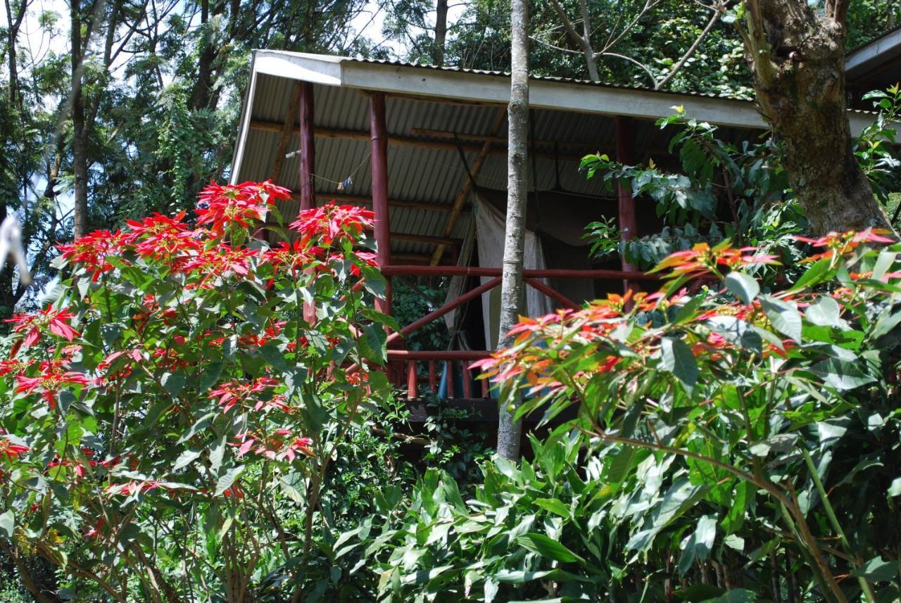Crater Bay Cottages Kabale Экстерьер фото